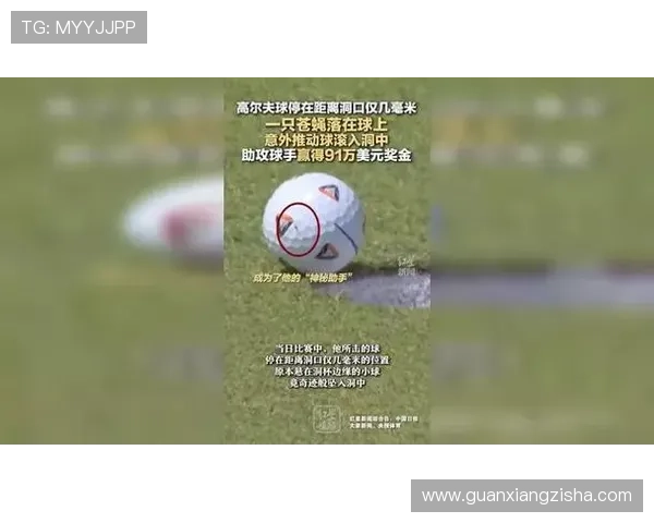 苍蝇意外神助攻 高尔夫球手凭奇遇逆袭赢得91万美元大奖 苍蝇意外神助攻 高尔夫球手凭奇遇逆袭赢得91万美元大奖
